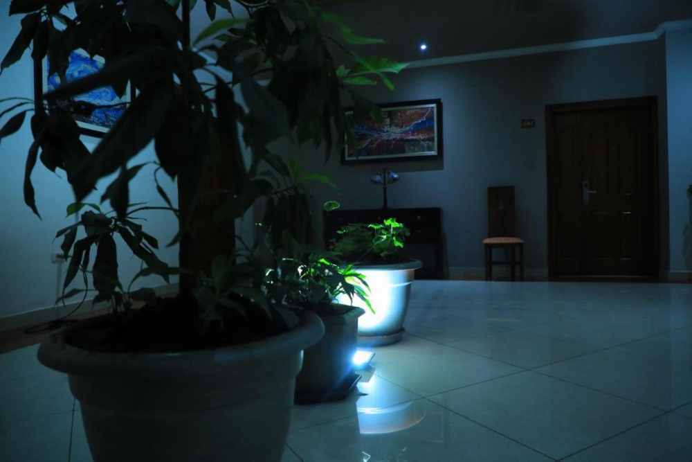 Victoria Guesthouse Addis Image 38